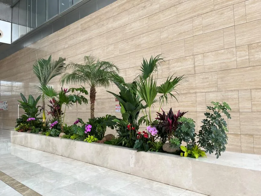 宁波奉化花木租赁服务好