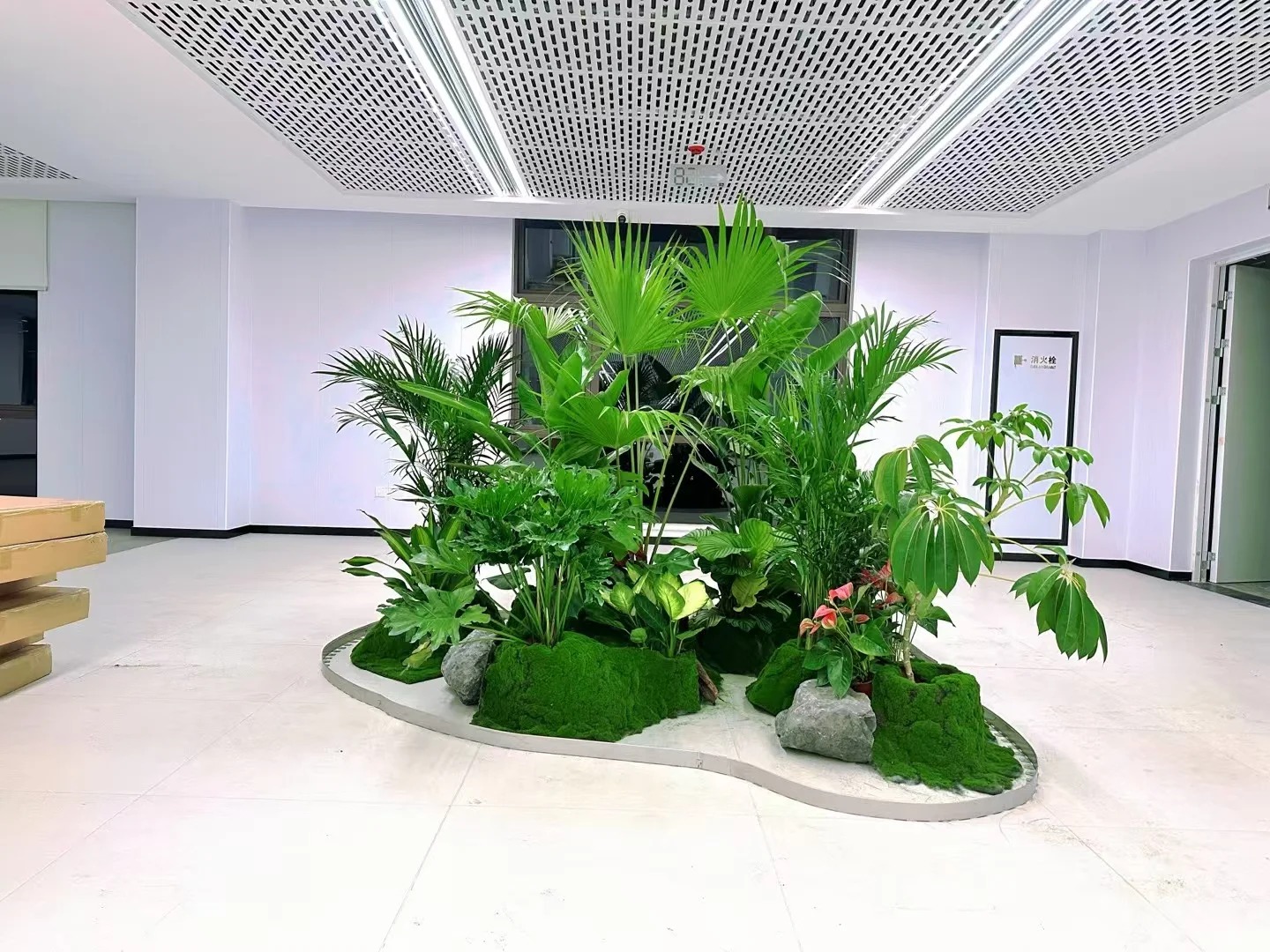 宁波鄞州绿植租赁设计，让自然之美融入生活